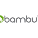 Bambu